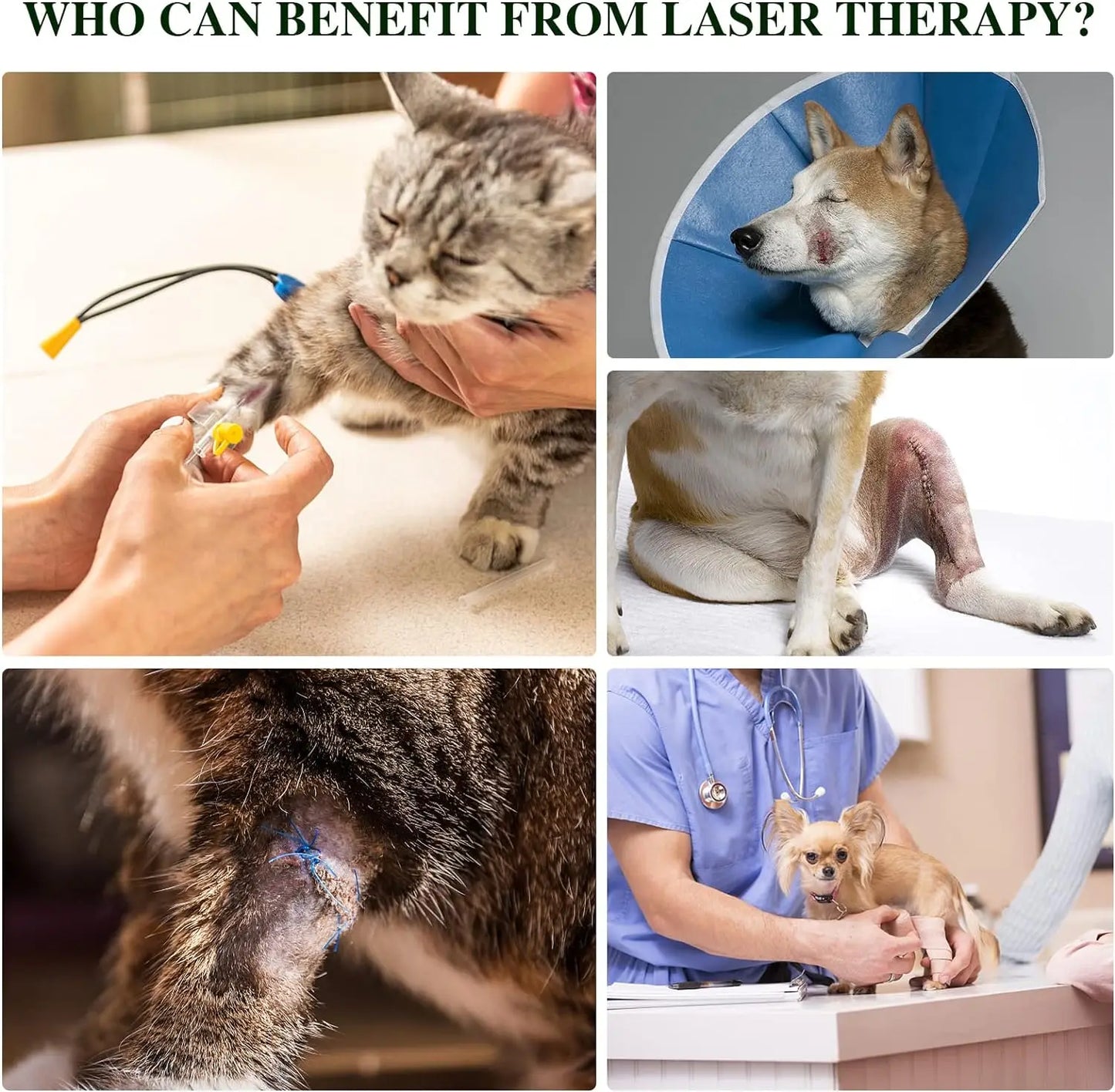 Portable Red Light Therapy Device for Pets Arthritis Treatment Pain Relief Wavelength 660nm*9/810nm*1 Veterinary Equipment