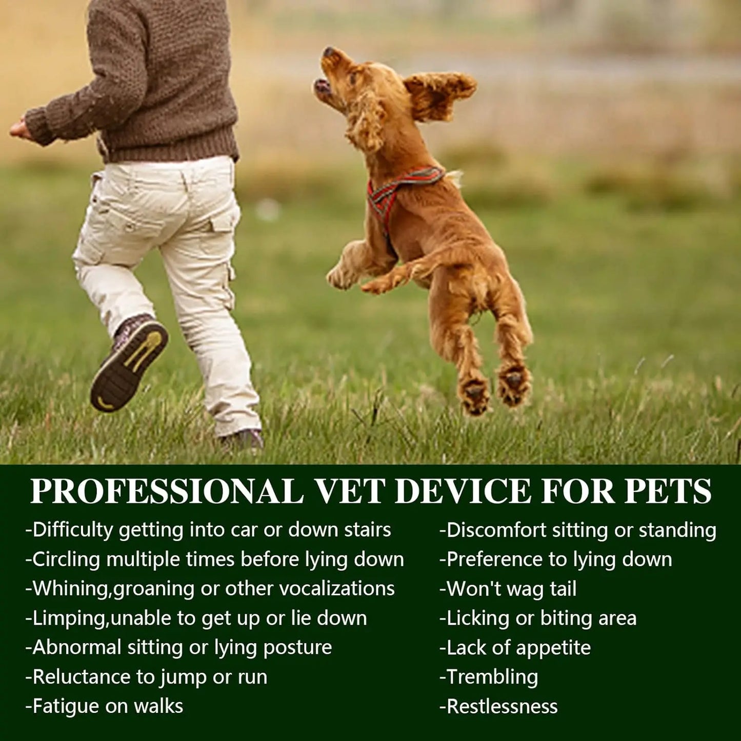 Portable Red Light Therapy Device for Pets Arthritis Treatment Pain Relief Wavelength 660nm*9/810nm*1 Veterinary Equipment