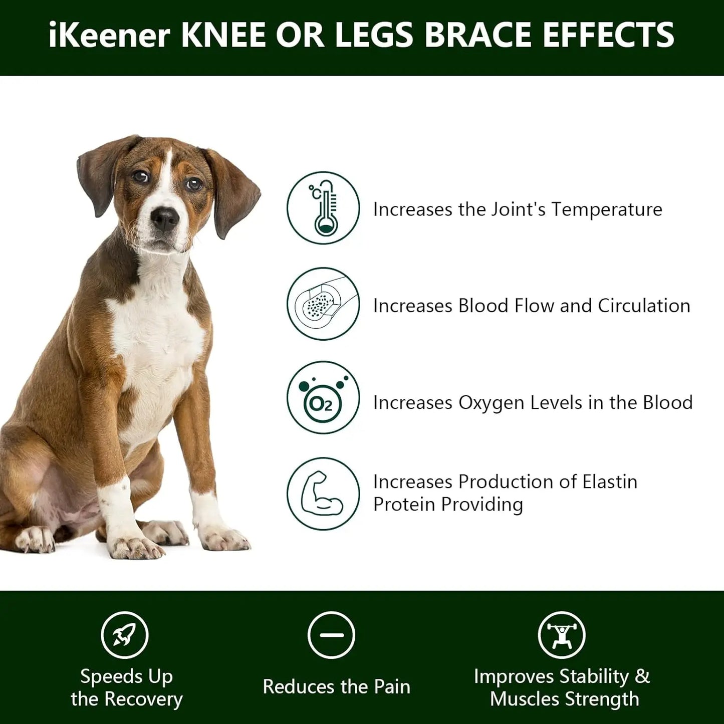 Portable Red Light Therapy Device for Pets Arthritis Treatment Pain Relief Wavelength 660nm*9/810nm*1 Veterinary Equipment